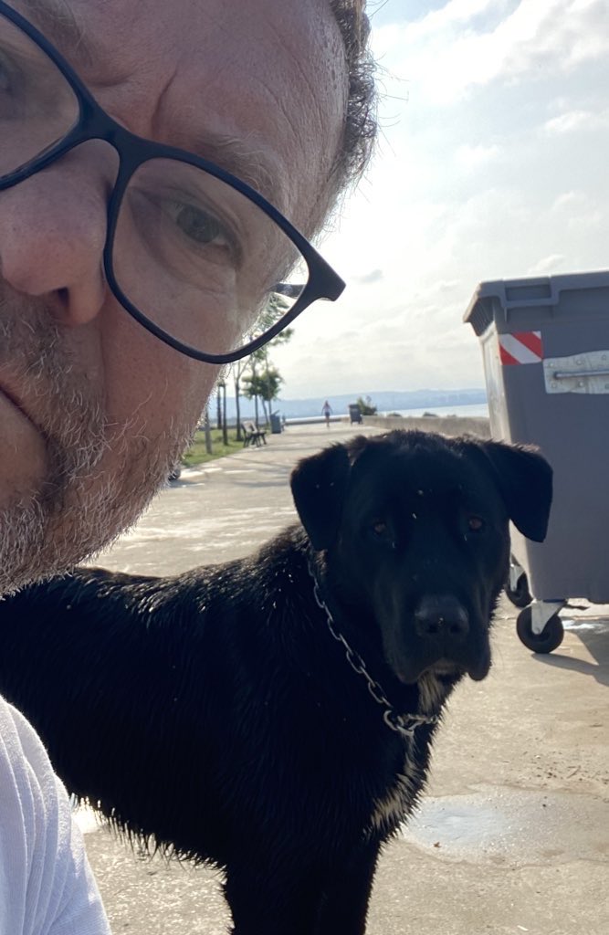 Özer ER tweet media