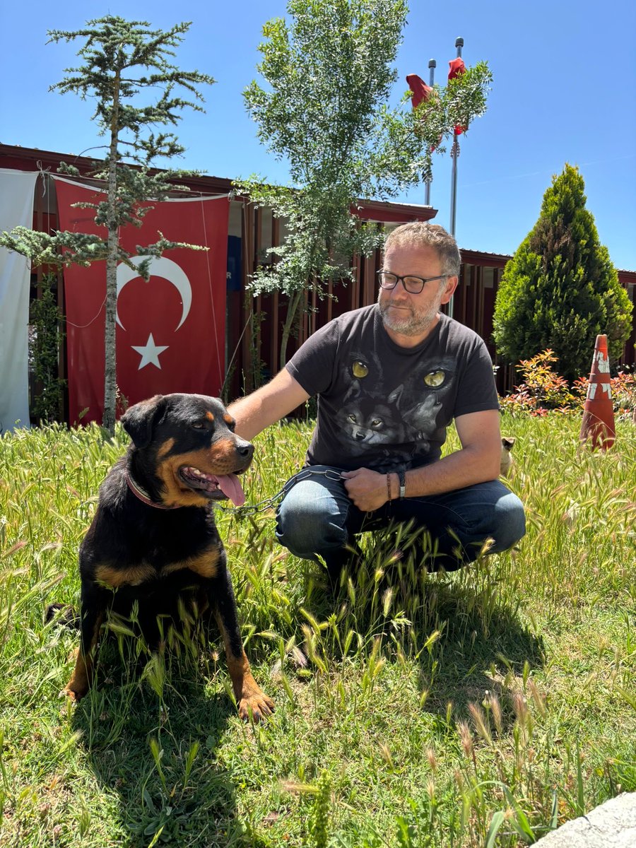 Özer ER tweet media