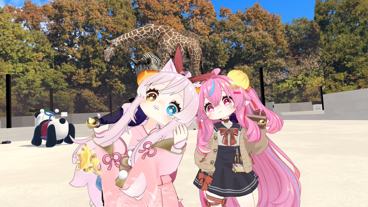 ゆゆえもん tweet media