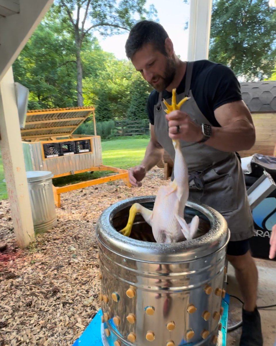 StrombergsBirds's tweet photo. New to poultry processing or looking to sharpen your technique? 

Visit our blog to learn 8 practical tips that break down the setup, tools, and habits that make processing day cleaner, smoother, and far less stressful. 

Full guide: https://t.co/knER0AK1mz https://t.co/UvcxoPkFKL
