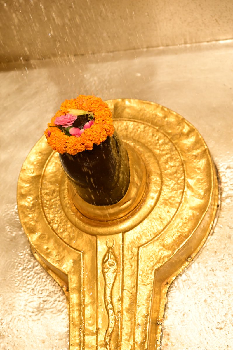 Shri Kashi Vishwanath Temple Trust tweet media