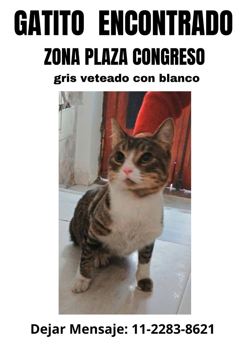 Somos CABA tweet media