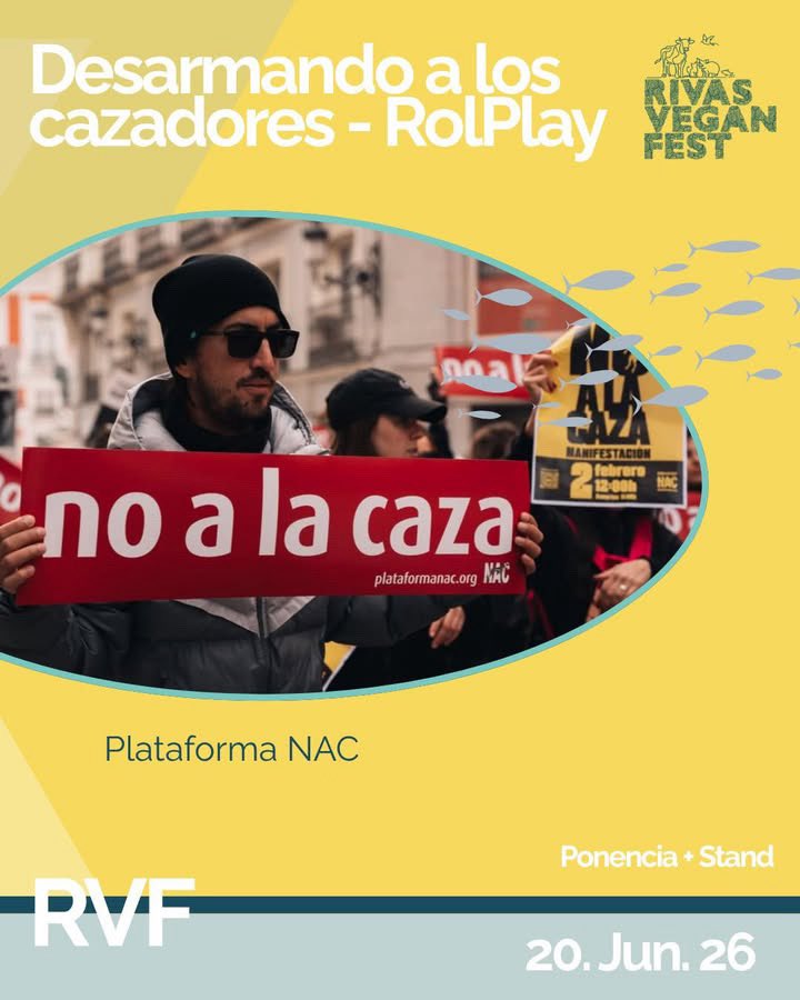 plataforma_NAC's tweet photo. 🔴Desarmando a los cazadores 

🎭 RolPlay + ponencia
Aprende a desmontar los argumentos que justifican la caza 🧠🔥

20/06/2026 ⤵️
https://t.co/TDlzYGpjfF

✊ Porque entender sus discursos es el primer paso para cambiarlos

#NoALaCaza #RivasVeganFest26 https://t.co/TR4mrJ92n4