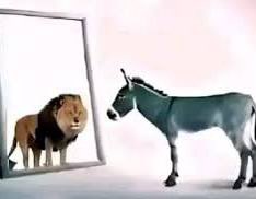 رؤى🪻 tweet media