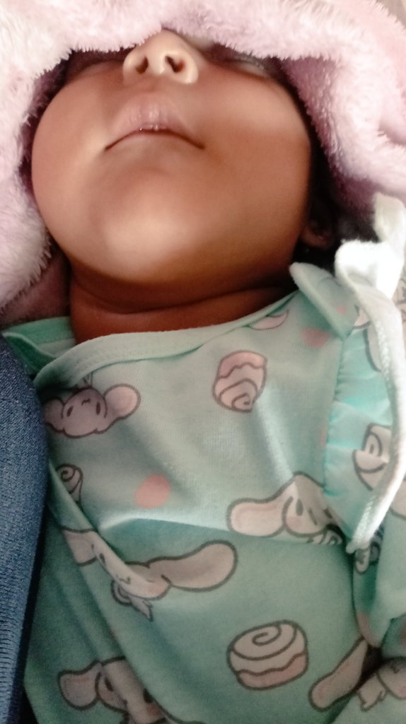 La princesa de la casa ya  inició su 1era siesta del día..... Que envidia 😪