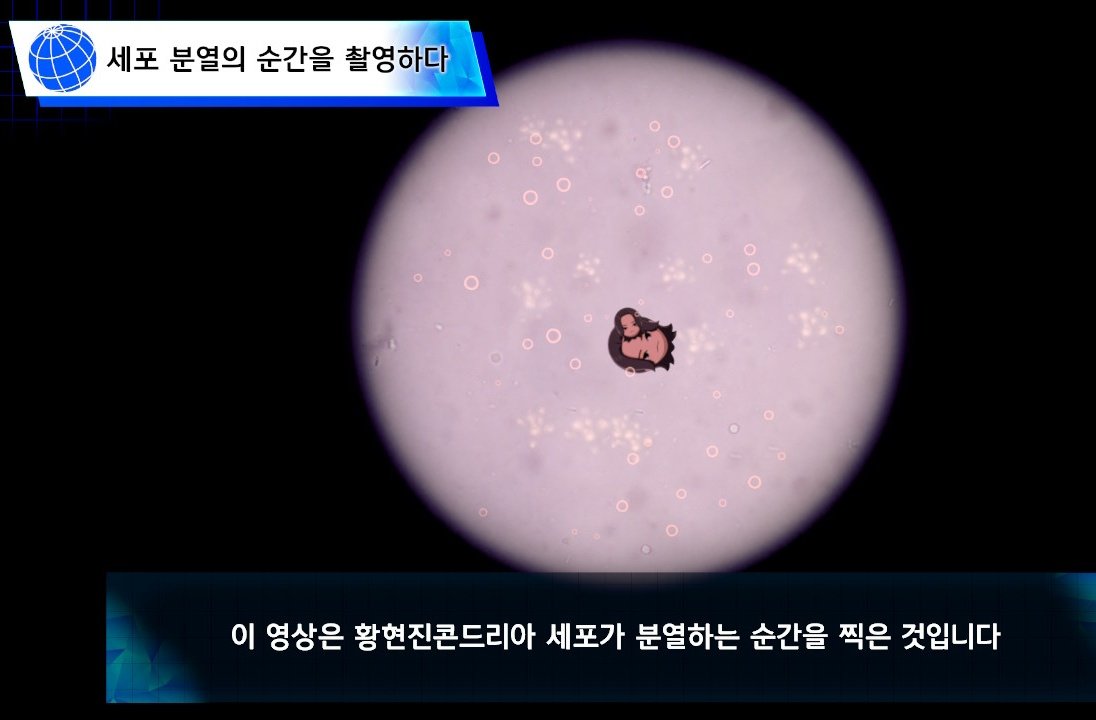 han2ny's tweet photo. 너무황당해서말도안나옴 https://t.co/EirDE8rzNC