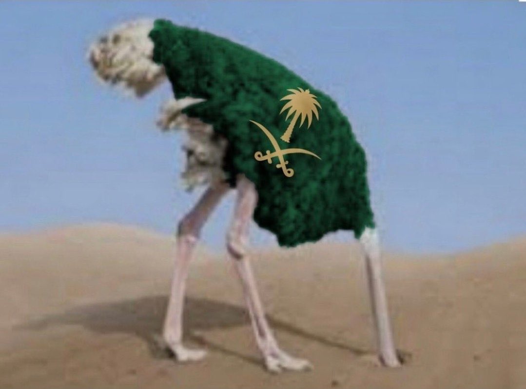 هيثم tweet media