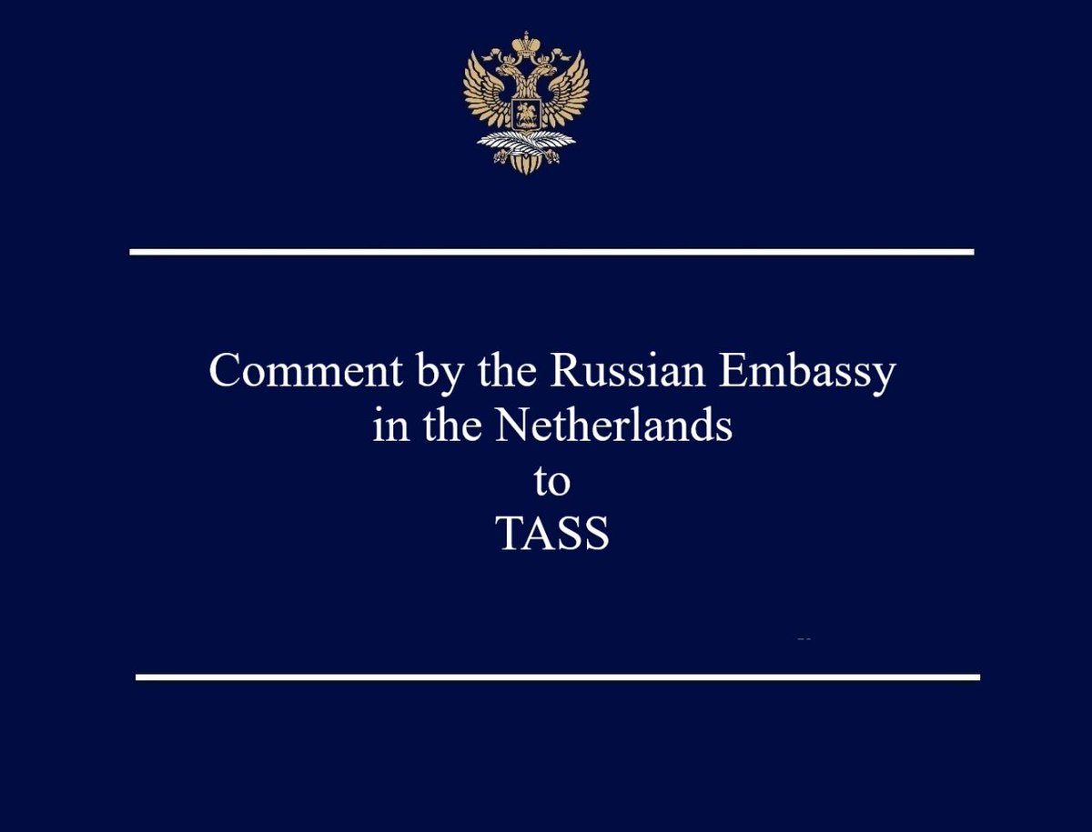 Russian Embassy in NL🇷🇺🇳🇱 tweet media