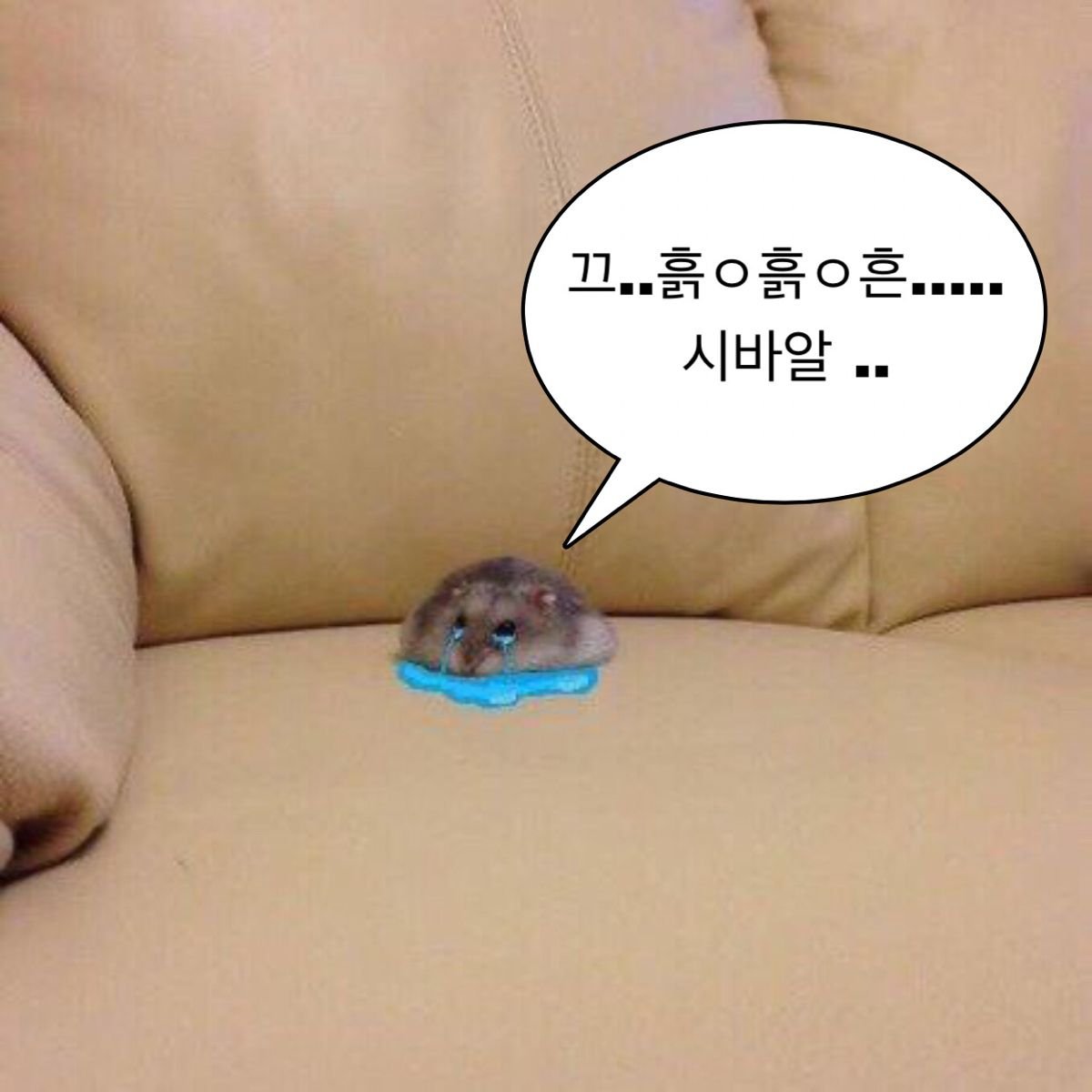 묭 *Myong *ミョン🌊🐇👑 tweet media
