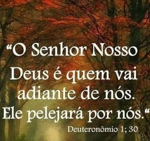 Fatinha Mary tweet media