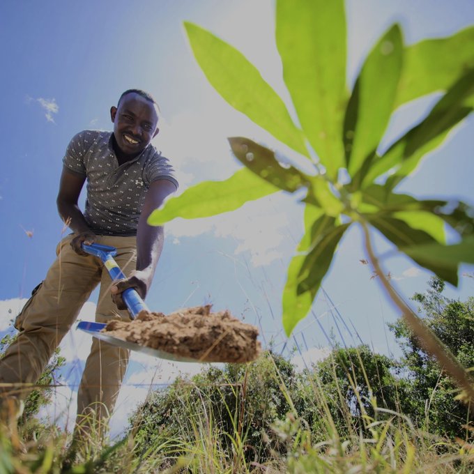 FAOclimate's tweet image. Sparking local action for global impact 🌍

@theGEF Small Grants Programme channels #ClimateFinance to local communities, especially women, youth, and #IndigenousPeoples. 

👉 For action on climate, #biodiversity and land!

🌐 fao.org/gef/Portfolio/…