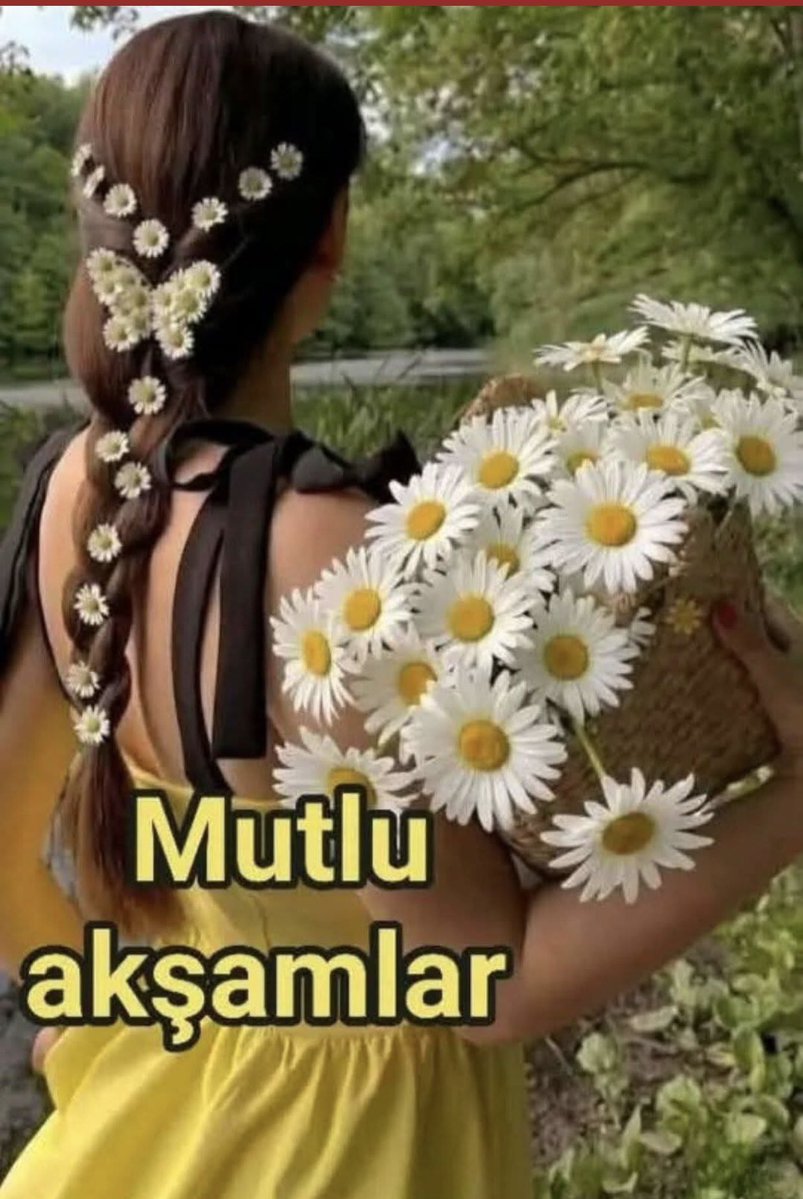 muammer tamcan tweet media