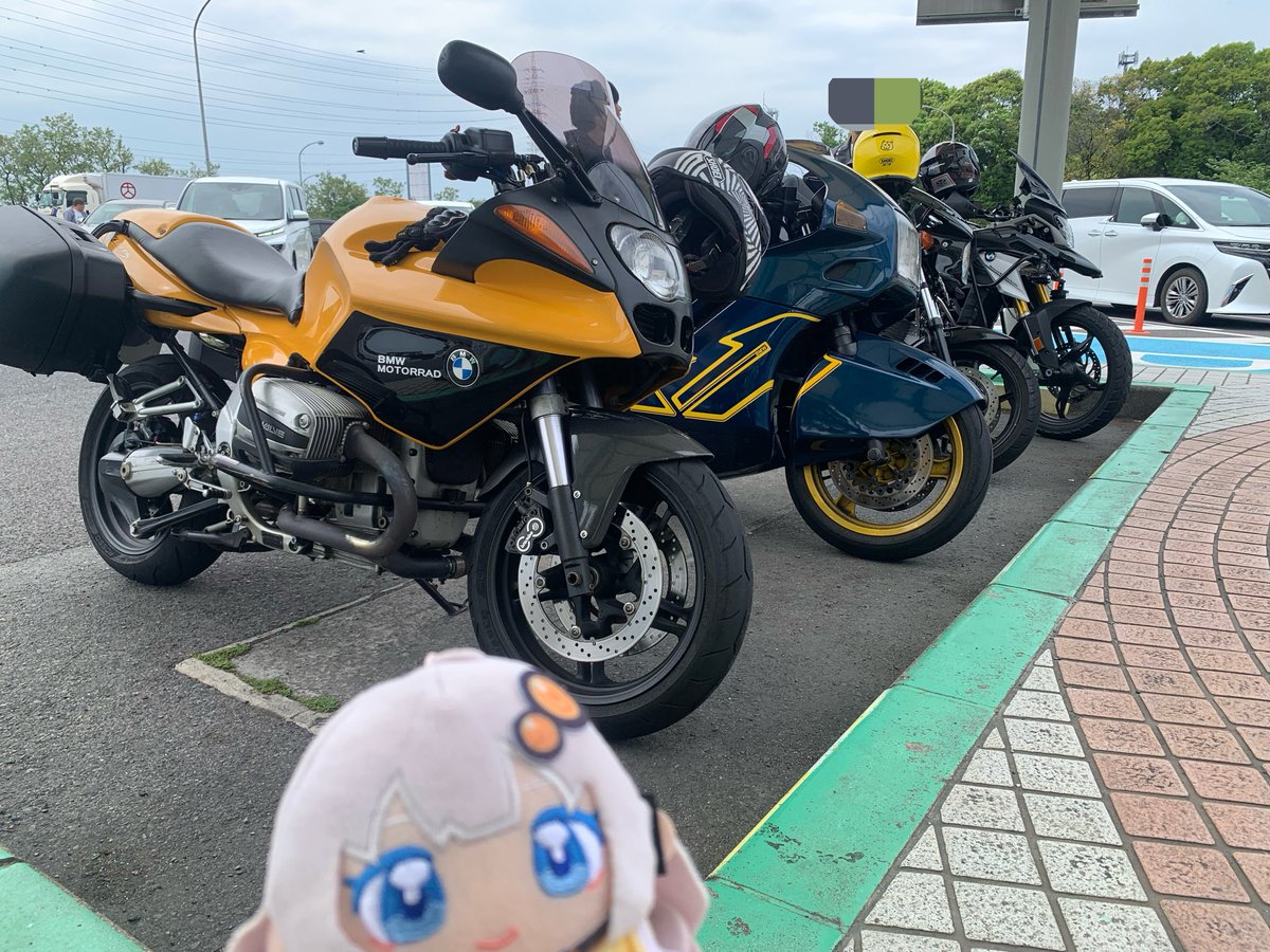 モッティーてこ（もとてこ） tweet media