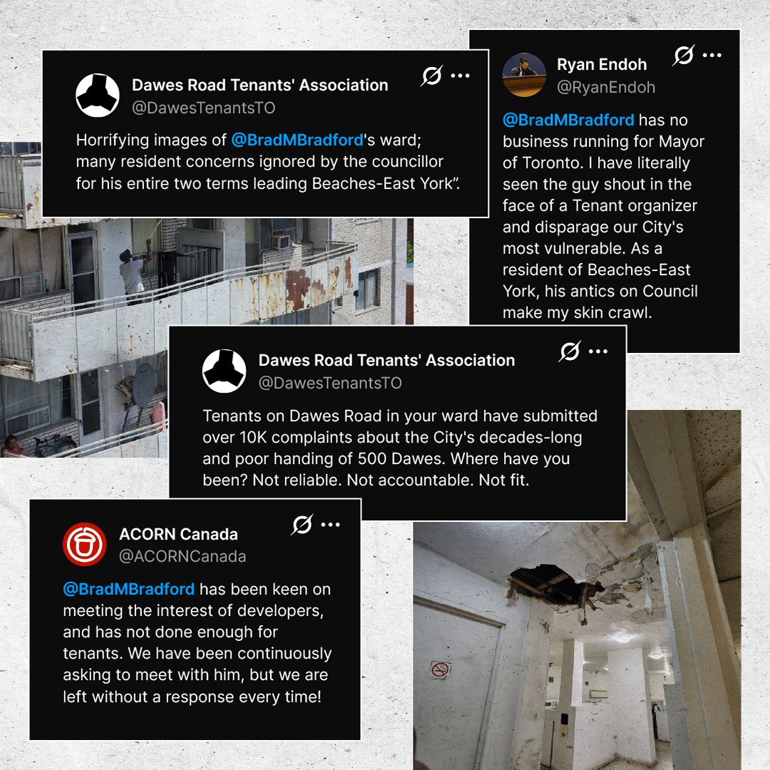 Progress Toronto tweet media