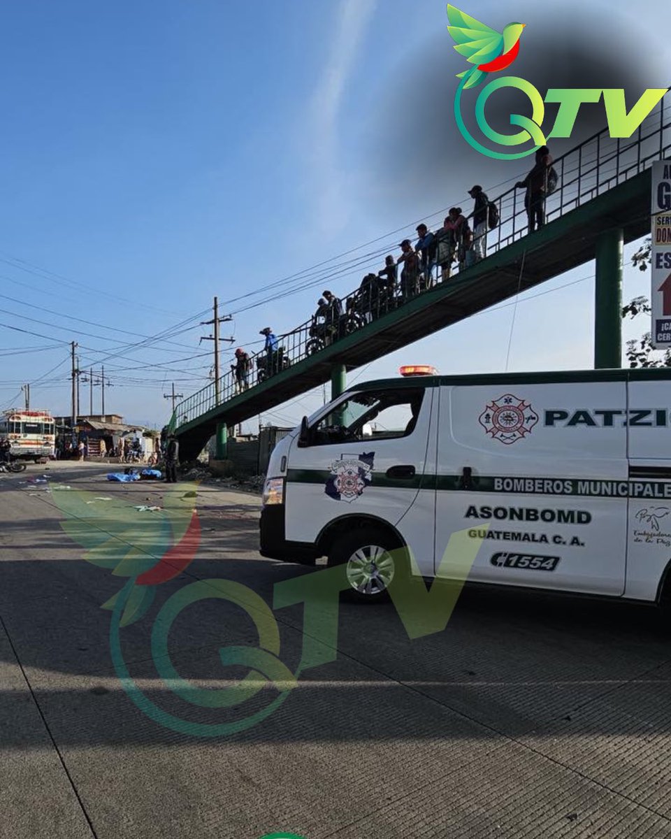 quetzaltv_ tweet media