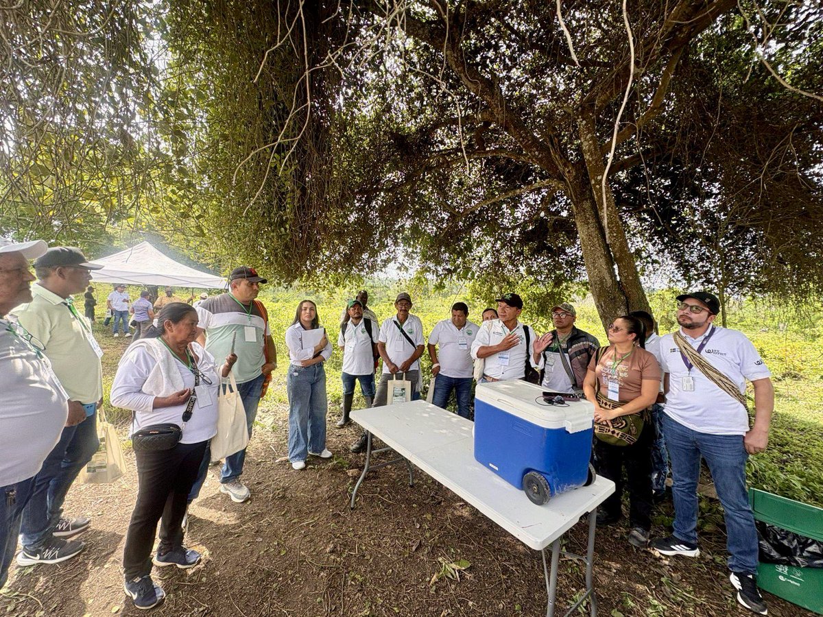 Misión de la ONU en Colombia tweet media