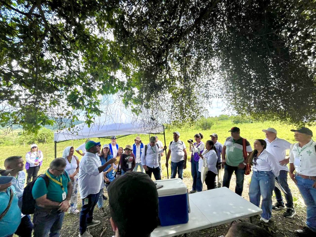 Misión de la ONU en Colombia tweet media