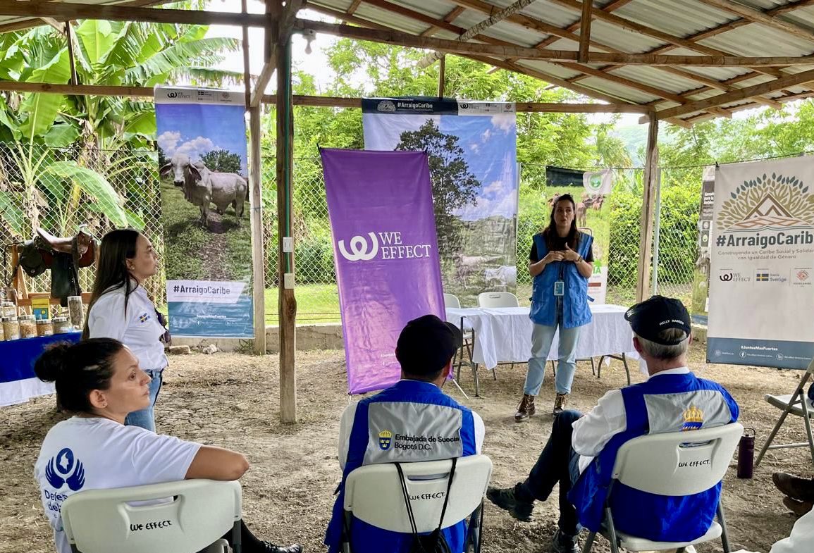 Misión de la ONU en Colombia tweet media