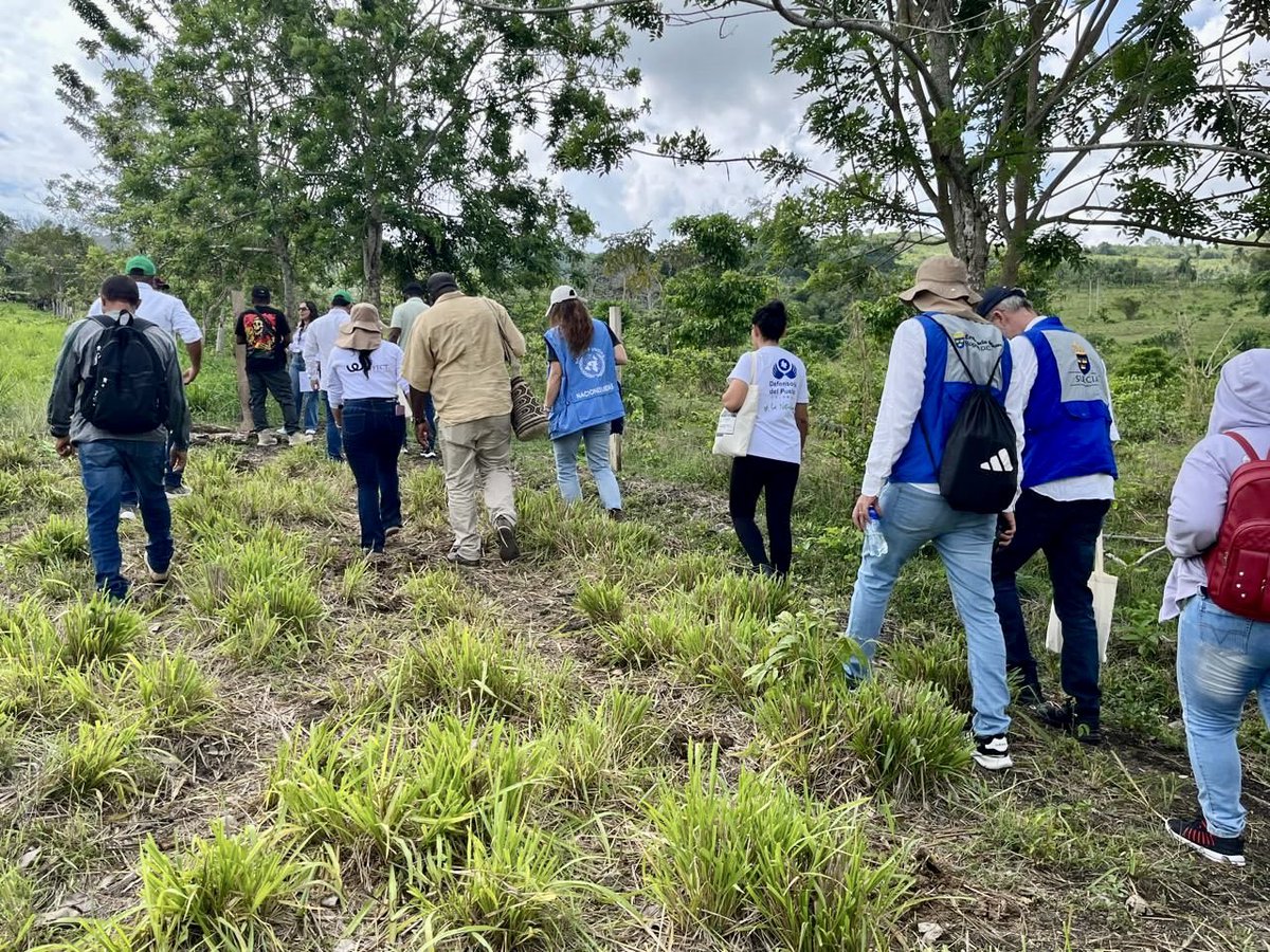 Misión de la ONU en Colombia tweet media