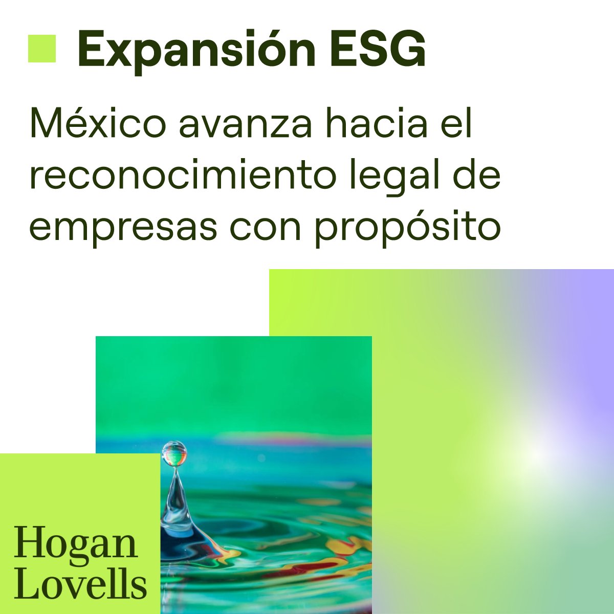 HLCMexico's tweet photo. “El impacto está implícito en el producto o servicio”. — Lila A. Gasca

Lee la nota completa en Expansión ESG: https://t.co/WEyvVoSphi

#HoganLovells https://t.co/Ab91KkBa2e