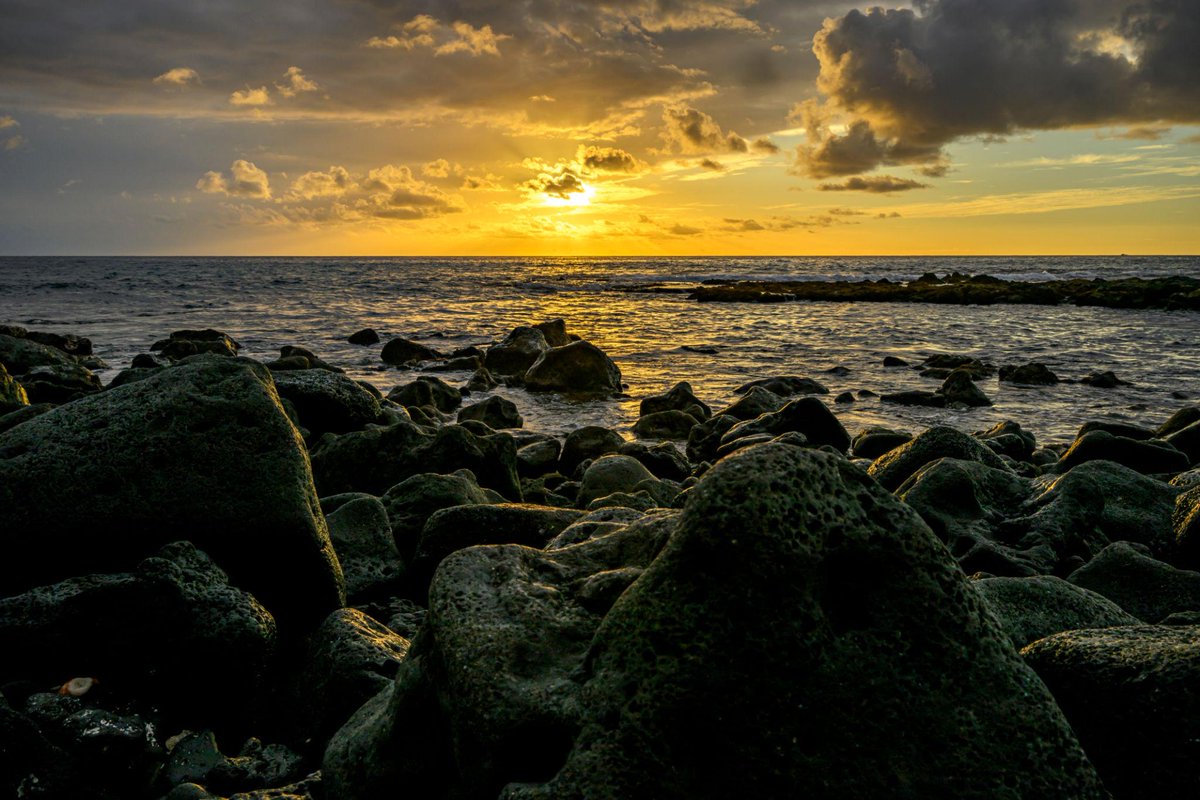 GlobalDWeds's tweet photo. 🌺 Hawaii Inter-Island Cruise – 7 Nights from Honolulu 
Aboard the Pride of America
📅 June 27 – July 4, 2026
📍 Roundtrip from Honolulu

Experience 4 Hawaiian islands in one trip — no inter-island flights, just unpack once and enjoy 🌴
✨ Itinerary Highlights:
• Maui (Overnight in Kahului)
• Hilo – Big Island
• Kona (Tender Port)
• Kauai (Overnight in Nawiliwili)

💎 Large Balcony Suite
💰 $4,093.40 CAD per person taxes and prepaid service charges included
(Pricing subject to change & availability)

🎁 Free at Sea Perks:
• Unlimited Open Bar
• Specialty Dining
• Shore Excursion Credits
• WiFi

✈️ Flights not included

This is one of the best ways to see Hawaii — more time in port and overnight stays on multiple islands without the hassle of island hopping logistics.

📩 Message me for details, alternate dates, or USD pricing
🌐 https://t.co/XkDk6c3XkF

#HawaiiCruise #BucketListTravel #HoneymoonIdeas #TravelDeals #CruiseLife