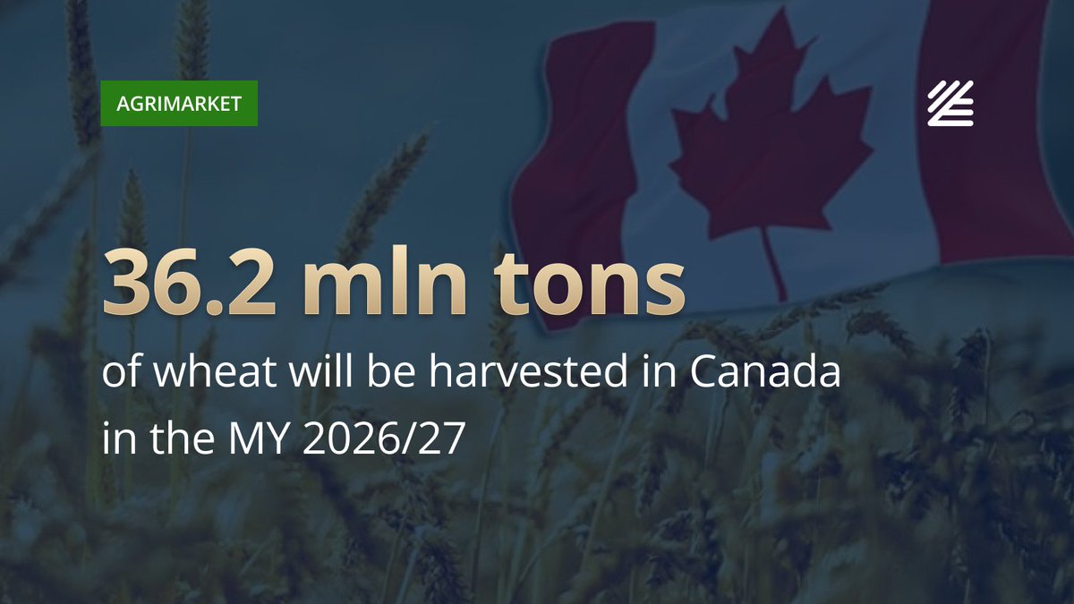 UkrAgroConsult's tweet image. 🇨🇦 #Wheat production in #Canada could decline by 10% in the MY 2026/27

The main reason will be a return of yields to average levels following the record-breaking 2025/26 season, when production reached nearly 40 mln tons. 

More details 👉ukragroconsult.com/?p=315199