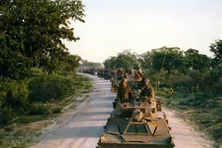 Mike the Warthog tweet media