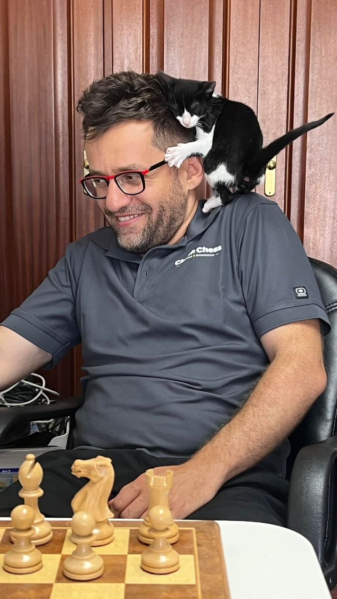 David Llada ♞ tweet media