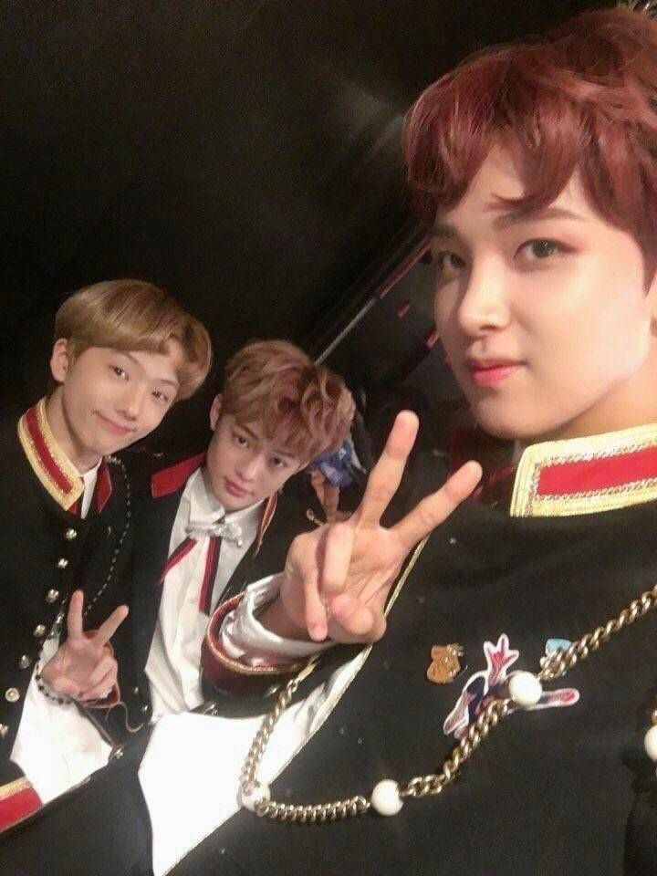 하나 tweet media