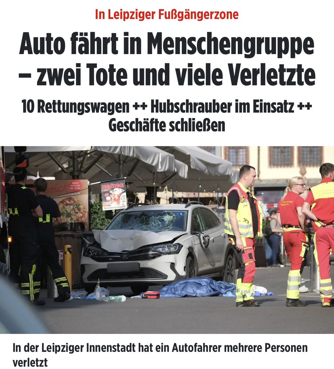 Grünfink tweet media