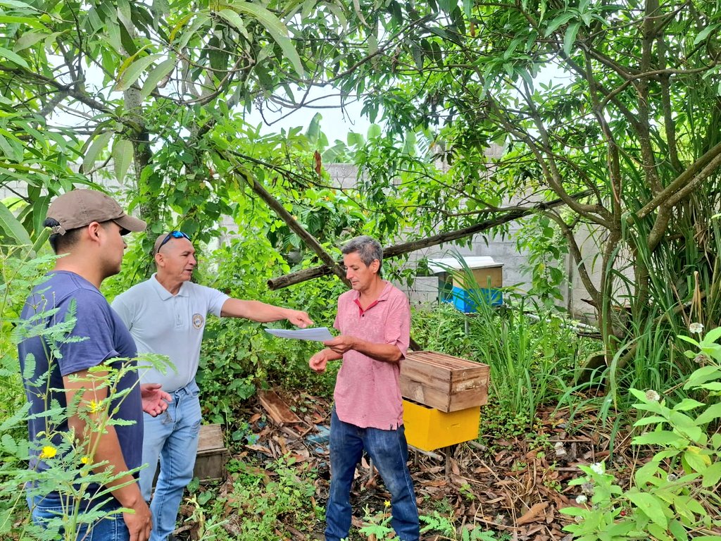 Agricultura_CZ7's tweet photo. #ElOro | Realizamos el seguimiento en implementación de apicultura, fomentando prácticas sostenibles y sustentables, asegurando la polinización en cultivos, en finca agroecológica, "La curva de don Rodo", en la parroquia Rio Bonito del cantón #ElGuabo 
#ElNuevoEcuador https://t.co/oWZqsEBZ93