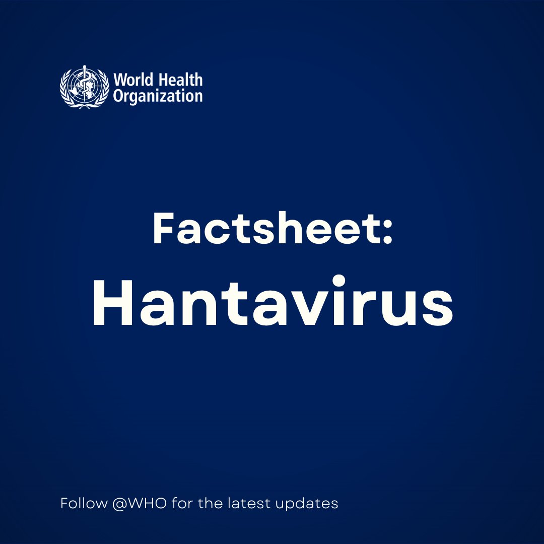 World Health Organization (WHO) tweet media