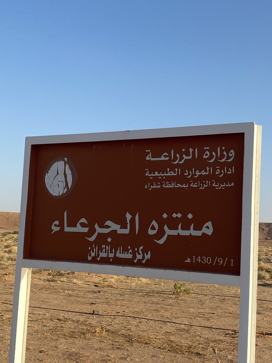 علي العمّار tweet media