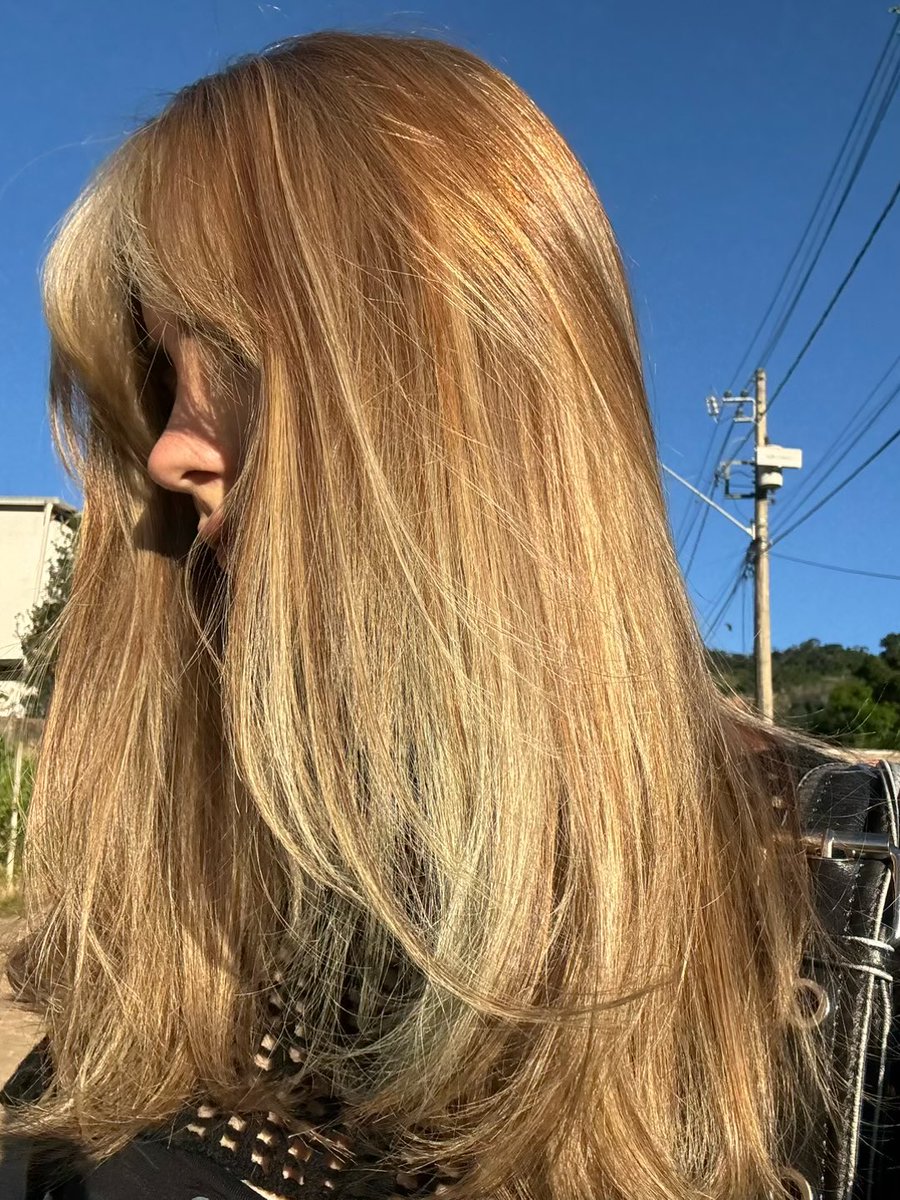 mulher macha e viada tweet media