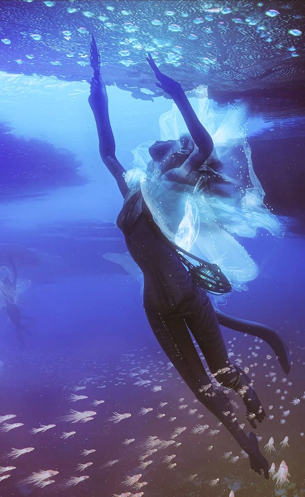 wavreya's tweet photo. this looks so magical <3 https://t.co/dccKje4Y59