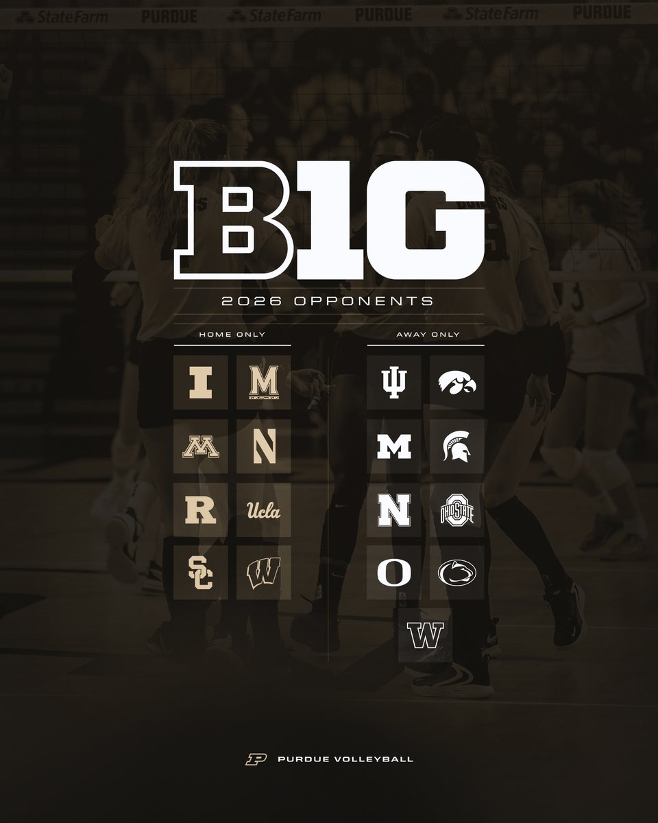 Purdue Volleyball tweet media