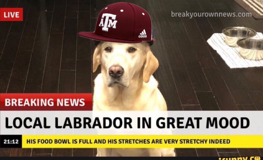 Jimbos Vengeance tweet media