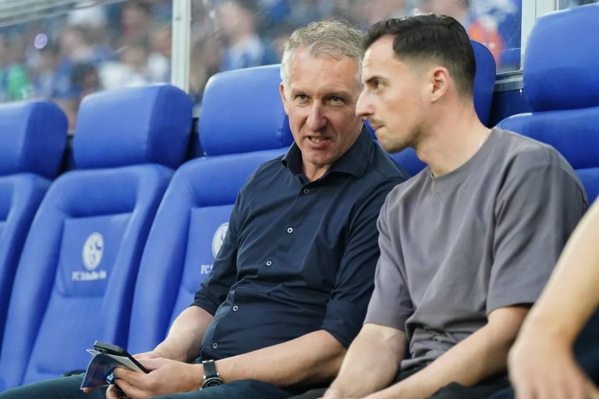 SchalkeZone tweet media