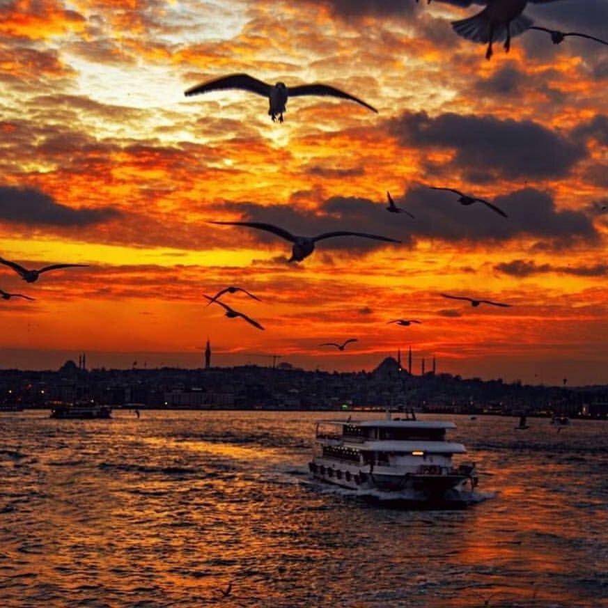 🇹🇷Güngör Demirkan🇹🇷 tweet media