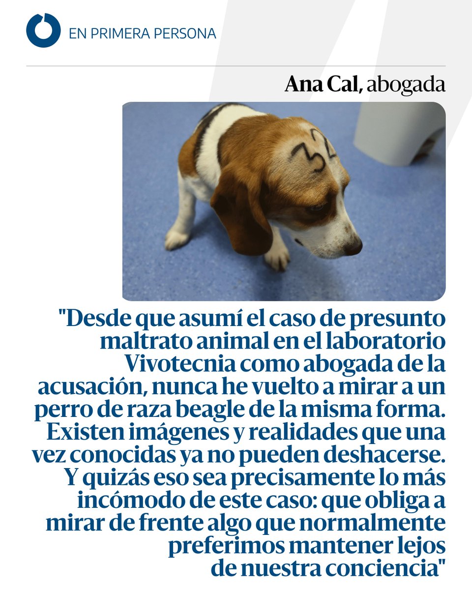 elDiario.es tweet media