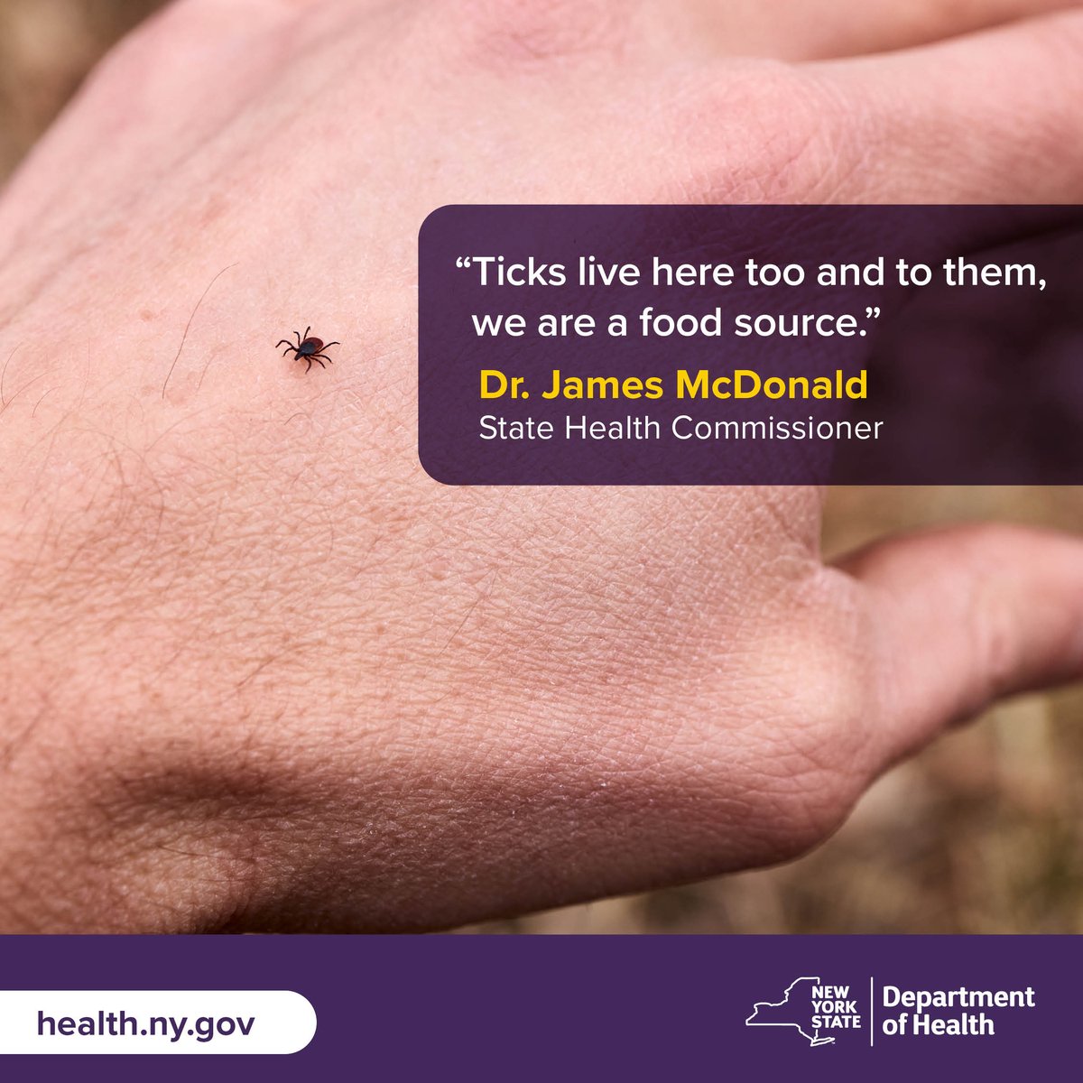 Dr. James McDonald tweet media