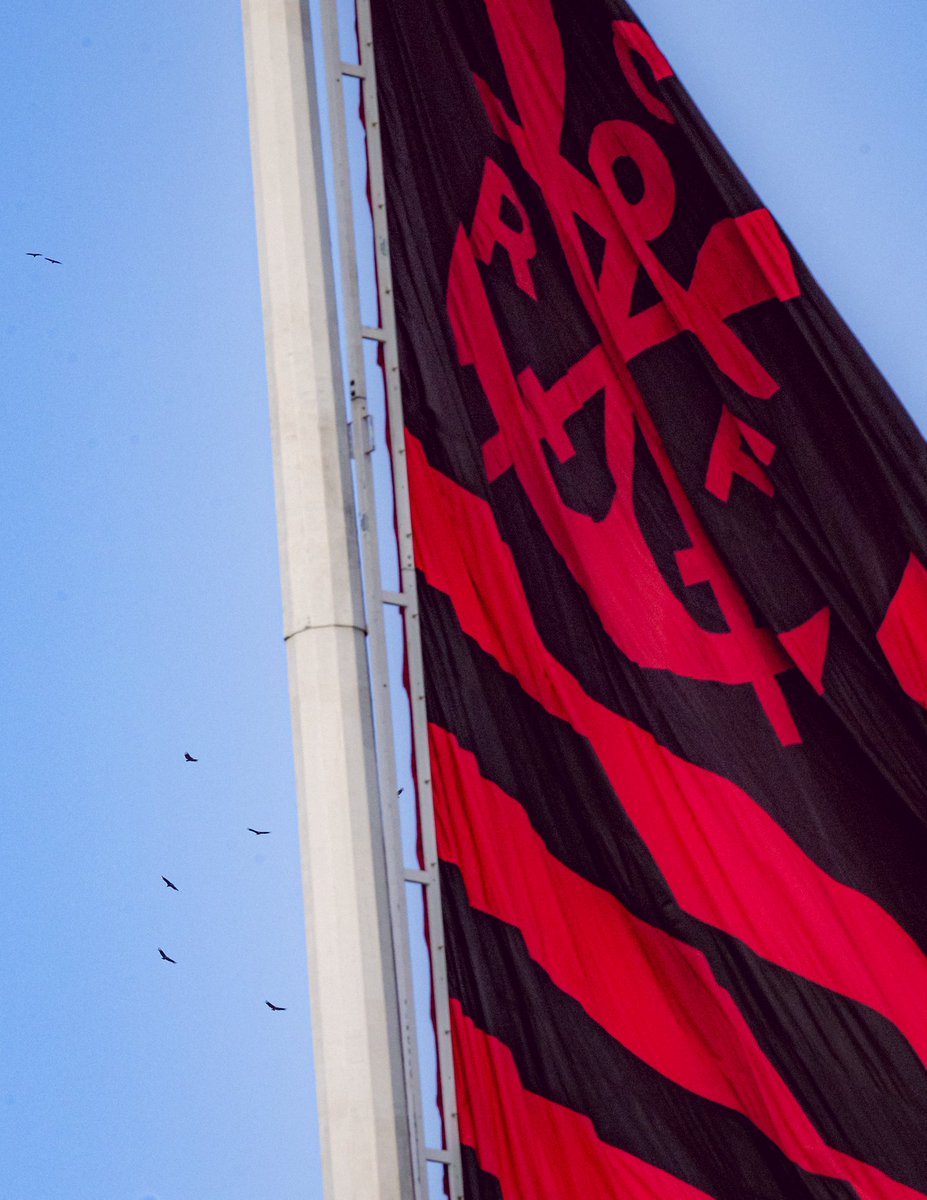 Flamengo tweet media