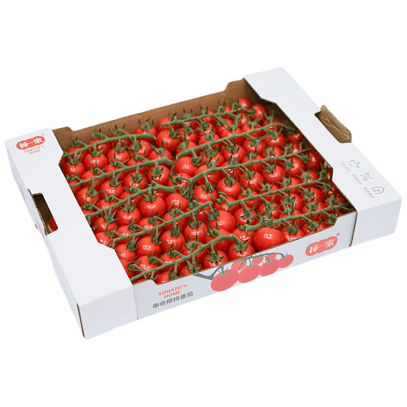 LoreneWatkins's tweet image. Tried these organic cherry tomatoes Juicy, sweet, no mealy bits—perfect for salads or snacking!  #OrganicProduce #TomatoTest