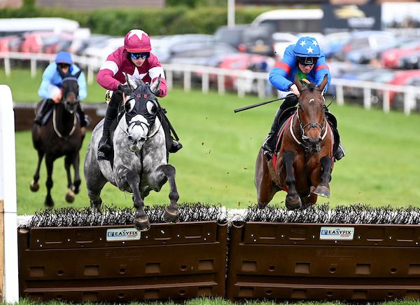 Gordon Elliott tweet media