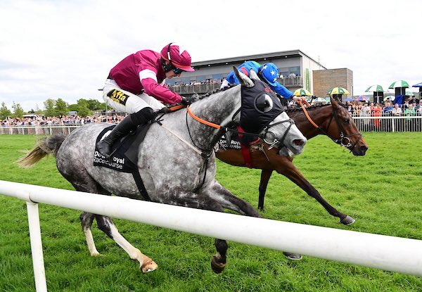 Gordon Elliott tweet media