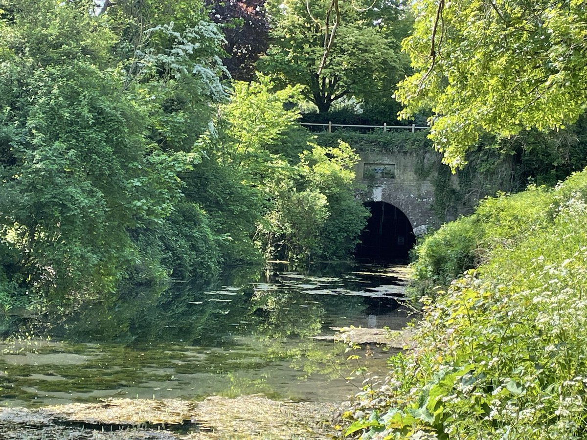 matthewclaxson's tweet image. A good walk down the Basingstoke canal to get some steps in ahead of my major hike in 4 weeks for which any sponsorship would be appreciated; click here for more: justgiving.com/page/matthew-c…  

#HIOWAA #AirAmbulance #Charity