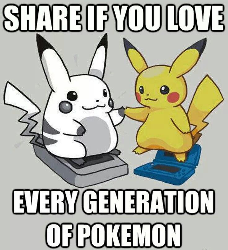 Pokemon Lovers tweet media