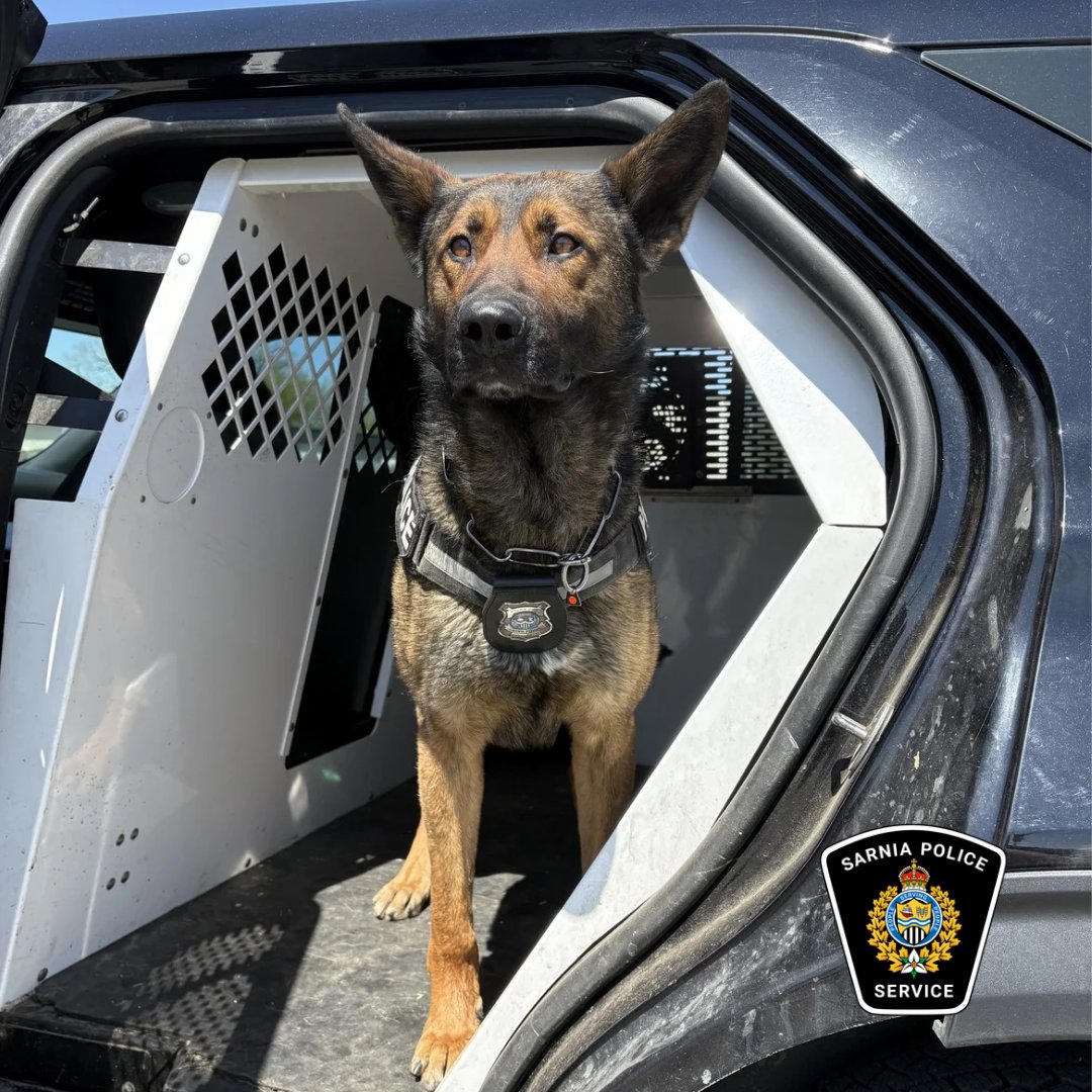 SarniaPolice's tweet photo. May the 4th be with you.

#PSDVader https://t.co/r27pkRCjZy