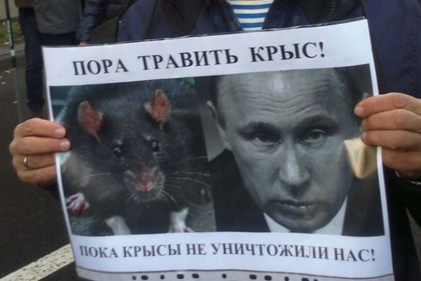 Ярик Волков tweet media
