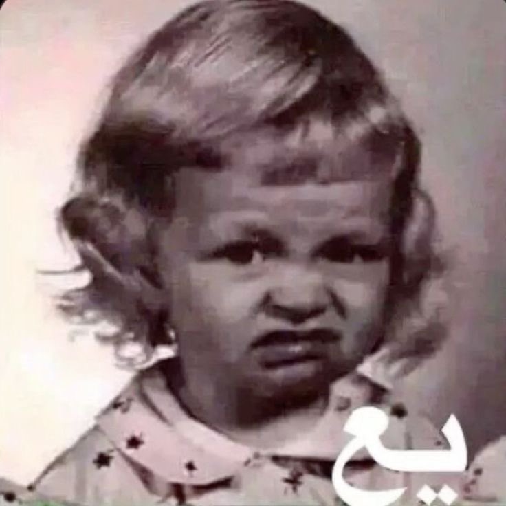 كبشتينه tweet media